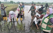 Gerakan Tanam Bersama di Dumai Timur, Babinsa dan Petani Bersinergi Tingkatkan Produksi Pangan