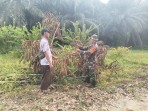 Patroli Karhutla Digencarkan, Babinsa Ajak Warga Jaga Lingkungan dan Dukung Pertanian