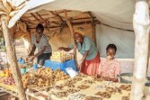 Pioneering evidence shows how entrepreneurship model can reduce extreme poverty among refugees