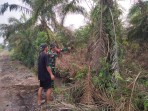 Koramil 01/Dumai dan Security PHR Perkuat Pengamanan Jalur Pipa Minyak di Bukit Kapur