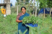 Over a million Indian farmers moving to natural farming: APCNF wins the 2026 Food Planet Prize