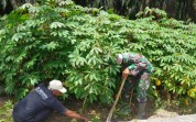 Babinsa Lubuk Gaung Motivasi Warga Tingkatkan Produktivitas Pertanian