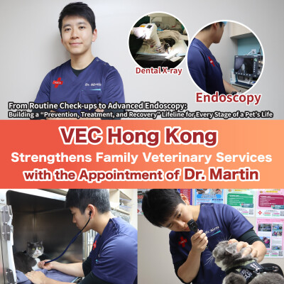 VEC Strengthens Family Veterinary Services with Dr. Martin’s Appointment