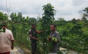 Babinsa Koramil 01/Dumai Gencarkan Patroli Karhutla dan Sosialisasi Pencegahan Banjir