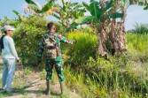 Cegah Karhutla, Babinsa Koramil 03/SS Sisir Wilayah Rawan di Sungai Sembilan