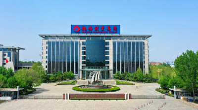 Shared Revitalization Journey of Weiqiao Pioneering Group, Weiqiao Town