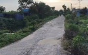 Anggaran Rp5,4 Miliar untuk Jalan Bunga Tanjung Tuai Kritik, Dinilai Kurang Prioritas