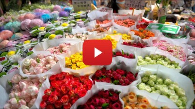 Asia's premier flower hub sets new benchmarks in trading scale and logistics efficiency