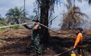 Karhutla Meluas di Jalan Sidodadi, TNI-Polri dan BPBD Turun Tangan