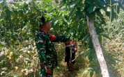 Patroli Karhutla hingga Pendampingan Petani, Babinsa Dumai Barat Perkuat Ketahanan Lingkungan