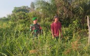 Cegah Karhutla, Babinsa Dumai Barat Aktif Patroli dan Edukasi Masyarakat