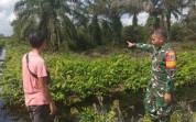 Babinsa Dumai Barat Gencarkan Patroli dan Sosialisasi Larangan Bakar Lahan