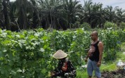 Babinsa Batu Teritip Bantu Pengembangan Pertanian Warga dan Cegah Karhutla