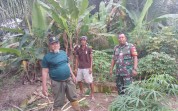 Cegah Karhutla Sejak Dini, Babinsa Pelintung Intensifkan Patroli dan Sosialisasi