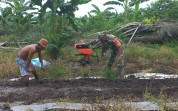 Babinsa Turun ke Lahan, Pendampingan Pertanian Tingkatkan Semangat Petani Dumai