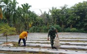 Babinsa Koramil 02/Bukit Kapur Ajak Warga Manfaatkan Lahan untuk Tanam Cabai
