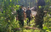 Patroli Karhutla Intensif, Babinsa Pastikan Wilayah Bukit Kapur Aman dari Kebakaran