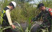 Antisipasi Gangguan Objek Vital, Koramil 02/BK dan PHR Patroli Jalur Pipa Minyak
