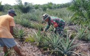 Babinsa Koramil 03 Ajak Warga Kelola Lahan Tanpa Bakar