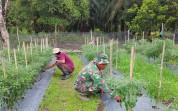 Sertu Ramli Sisir Wilayah Rawan, Pastikan Dumai Bebas Karhutla