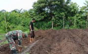 Perkuat Ketahanan Pangan, Babinsa Bagan Besar Aktif Dampingi Petani Lokal