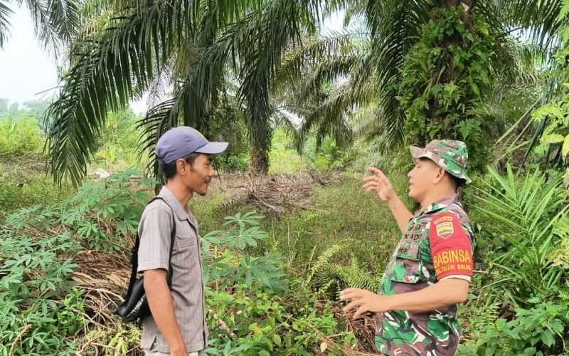 Giat Patroli Karhutla dan Karya Nyata Rutin Dilakukan Babinsa Teluk Binjai