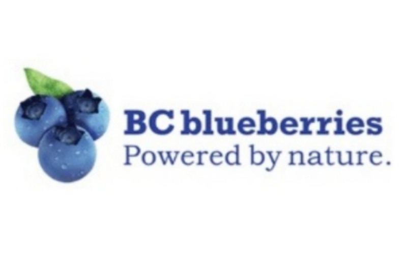 Studies Have Shown That BC Frozen Blueberries Have More Advantages in Health Than Fresh Berries