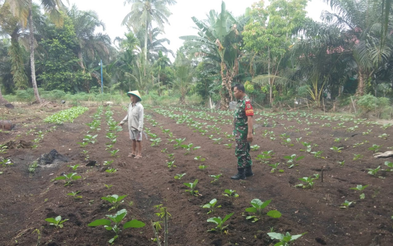 Babinsa Sukajadi Giat Pendampingan Karya Nyata