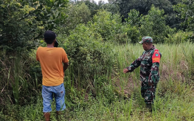 Babinsa Bagan Besar Gencarkan Patroli dan Sosialisasi Larangan Membakar Lahan