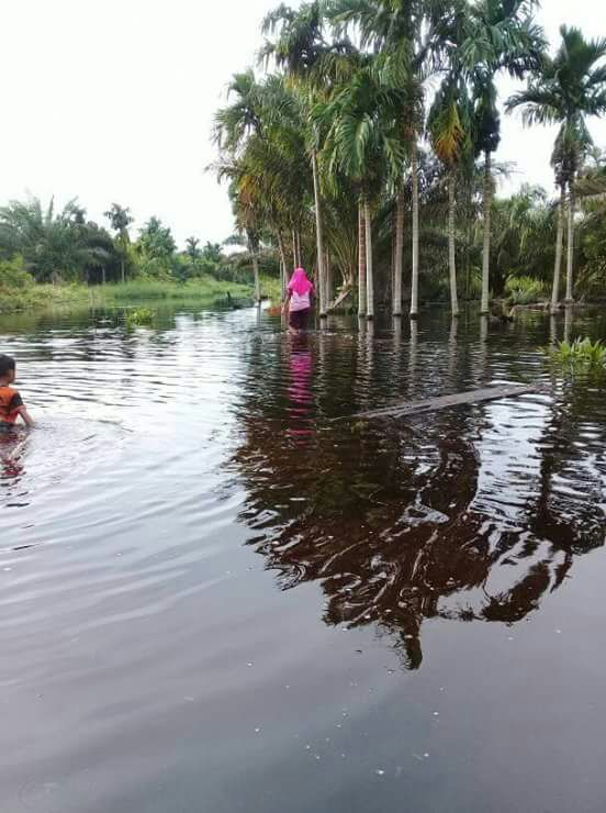 Inhil Daerah Rawan Banjir, Bupati Instruksikan BPBD Berlakukan Siaga Banjir