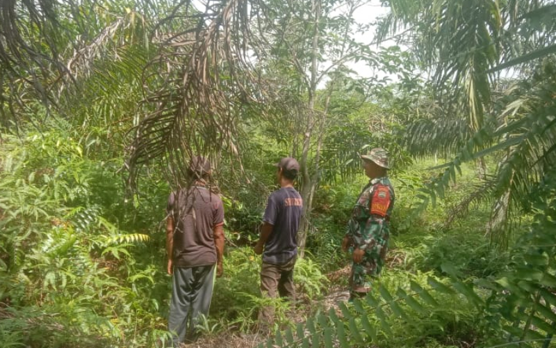 Babinsa Koramil 02 Laksanakan Patroli dan Sosialisasi Karhutla
