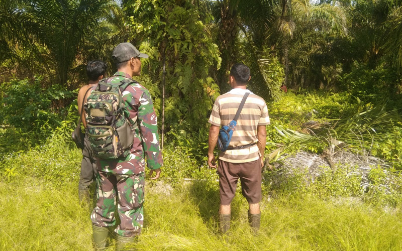 Babinsa Basilam Baru Giat Patroli dan Sosialisasi Terkait Karhutla