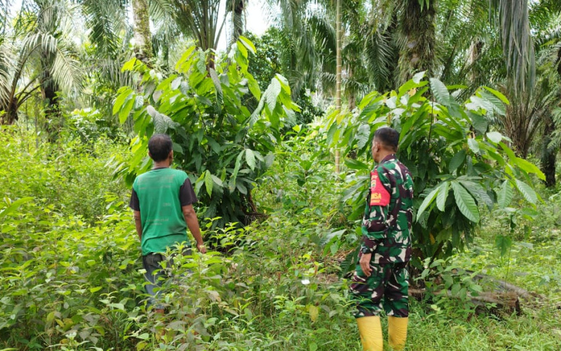 Serda Miftah Laksanakan Patroli, Jaga Hutan dan Lahan dari Kebakaran
