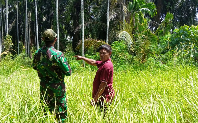 Babinsa Koramil 03 Sei Sembilan Gencar Lakukan Patroli dan Sosialisasi Cegah Karhutla