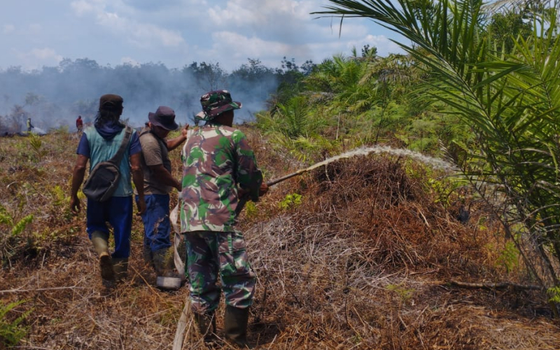 Karhutla Meluas di Lahan Gambut, 0,5 Hektare Berhasil Dipadamkan Babinsa dan Tim