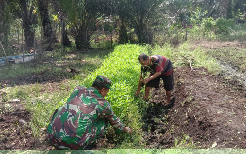 Giat Pendampingan Karya Nyata oleh Babinsa Koramil 01 Dumai