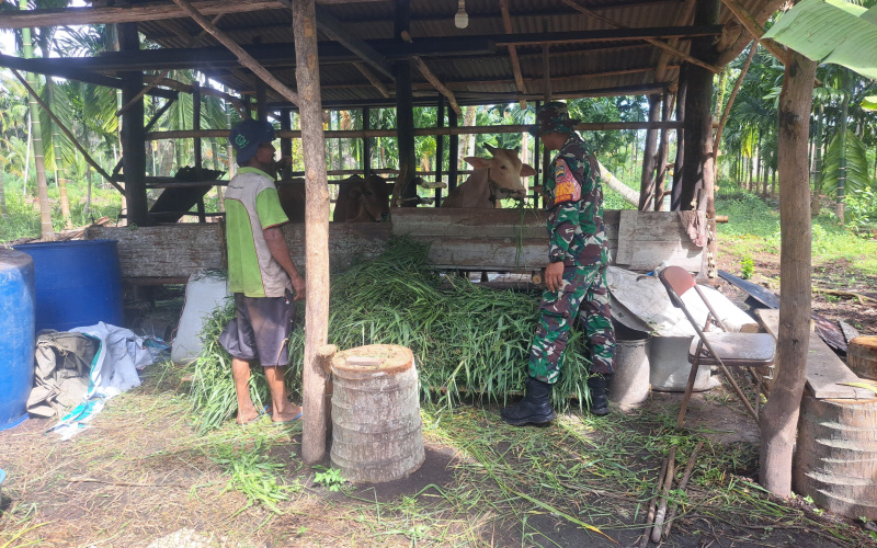 Serda Andri dari Koramil 01 Dumai Berikan Tips Pencegahan PMK