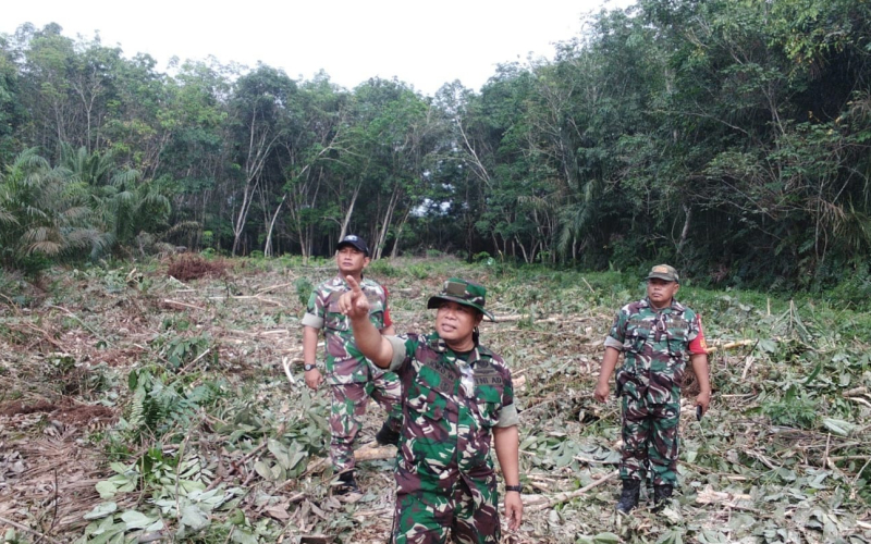 Patroli Babinsa Koramil 02, Cegah Terjadinya Karhutla