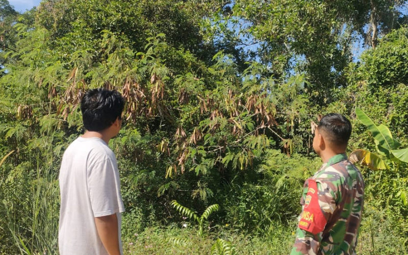 Sertu Sutarno Ajak Warga Jaya Mukti Cegah Karhutla dan Kembangkan Ekonomi Lewat Budidaya Lele