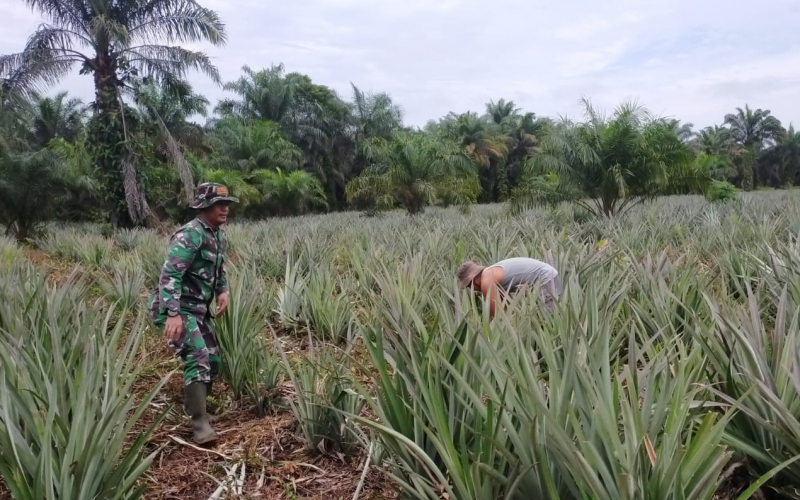 Cegah Karhutla, Serda Iwan Sahputra Lakukan Patroli dan Edukasi Warga di Bangsal Aceh