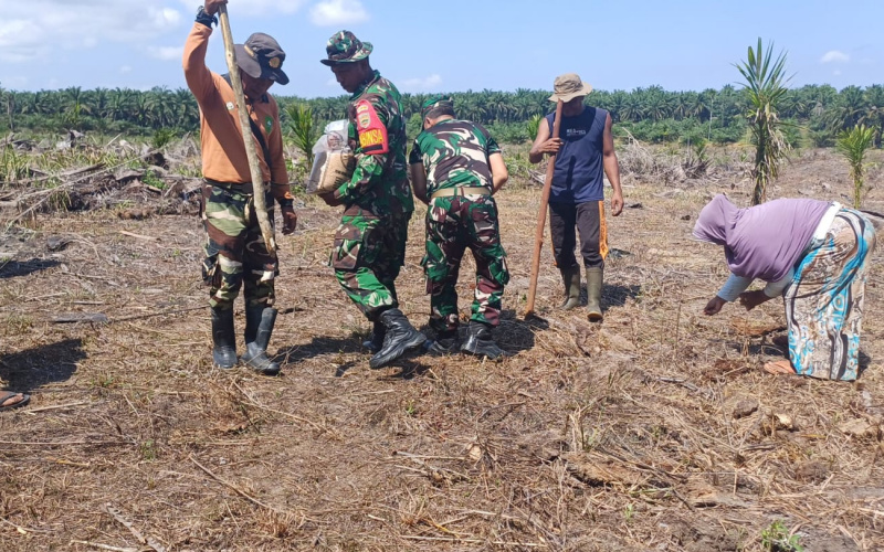 Danramil 02 Giat Gotong Royong dan Penanaman Padi Gogo