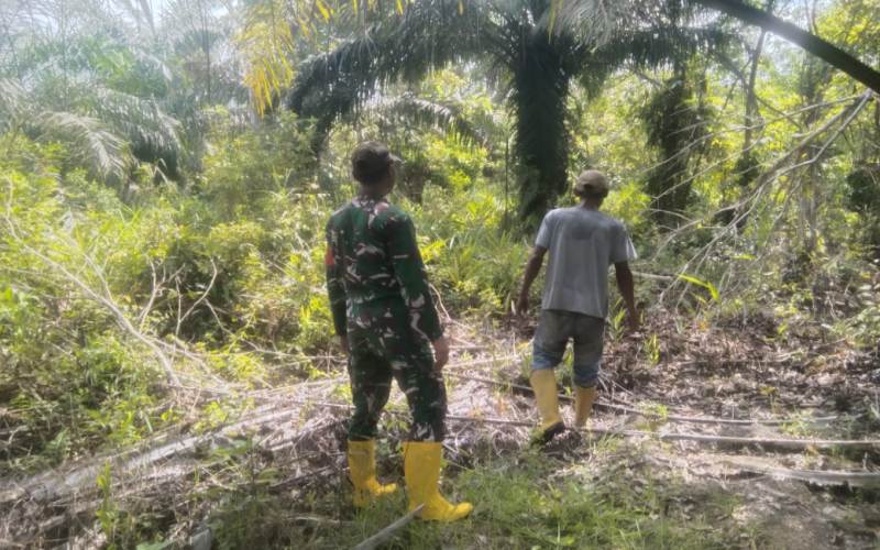 Giat Rutin Babinsa Koramil 03, Patroli Karhutla di Titik Rawan