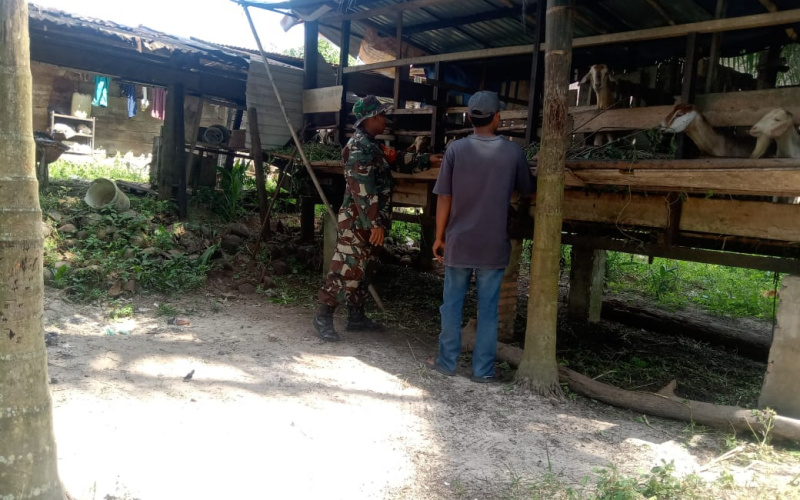 Babinsa Kelurahan Mekarsari Taja Sosialisasi Kesehatan Hewan Ternak