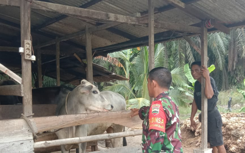 Babinsa Basilam Baru Laksanakan Pengecekan Kesehatan, ini Tujuannya