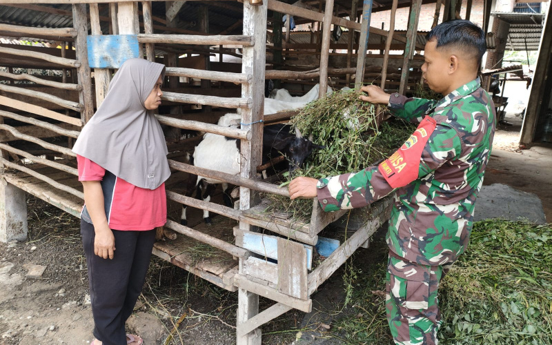Babinsa Jaya Mukti Melakukan Pengecekan Kesehatan di Peternakan Milik Warga