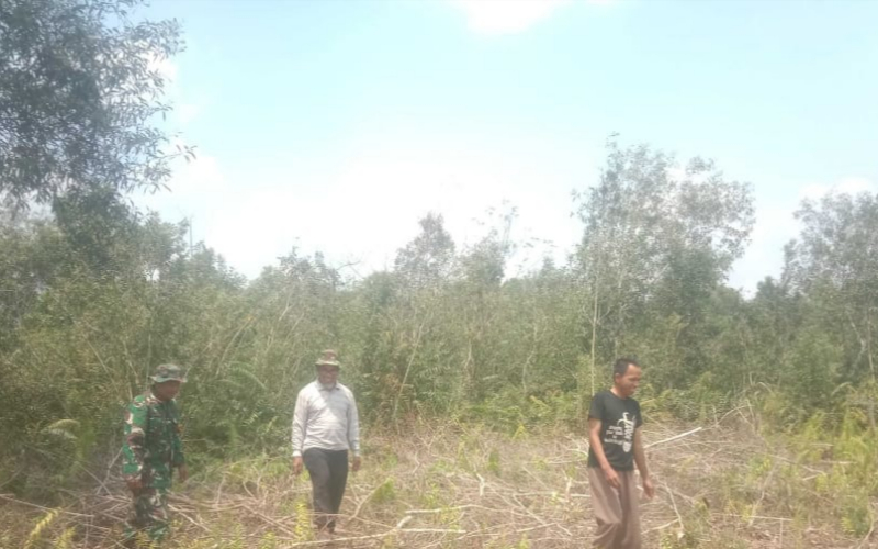 Edukasi Kepada Petani Pepaya, ini Paparan Babinsa Koramil 01