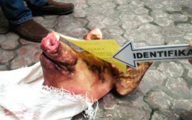 Teror Kepala Babi Kembali Terjadi di Medan