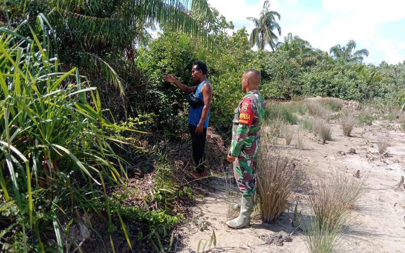 Antisipasi Terjadinya Karhutla di Wilayah Rawan oleh Babinsa Koramil 03