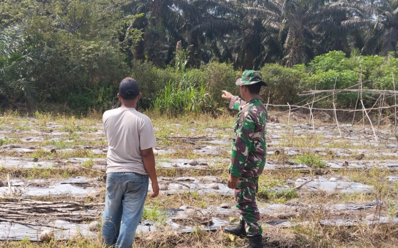 Antisipasi Kebakaran, Koramil 03 Sungai Sembilan Sisir Lahan Rawan Karhutla