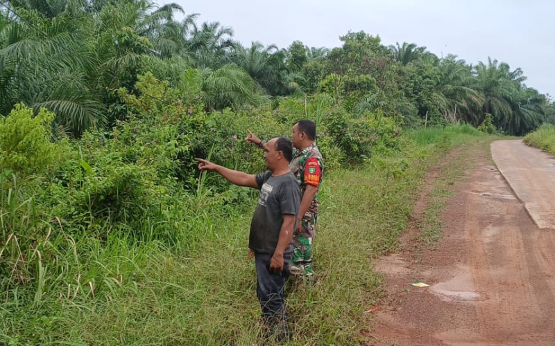 Sertu Misriyadi Lakukan Patroli dan Sosialisasi Karhutla di Medang Kampai